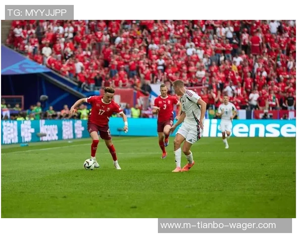 精彩足球比赛完整版回顾与分析全方位解读赛事亮点与球员表现