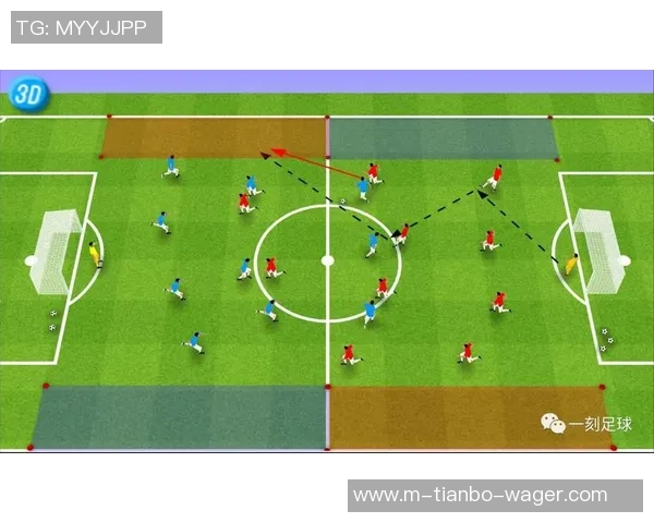 足球场地四周的标志解析与其对比赛的影响及重要性探讨